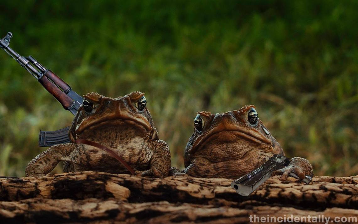 12082703_10156080211535291_2030936643_o