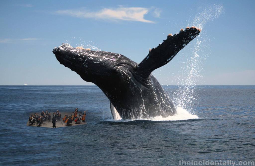 12177190_10156133571120291_152011221_o